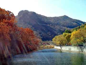 新澳天天开奖资料大全旅游团，泛目录技术